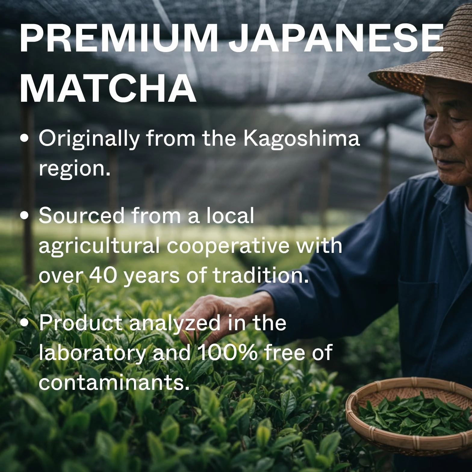 Nawo Matcha Ceremonial Supreme 30g Ekologiczna Zielona Herbata w Proszku z Japonii