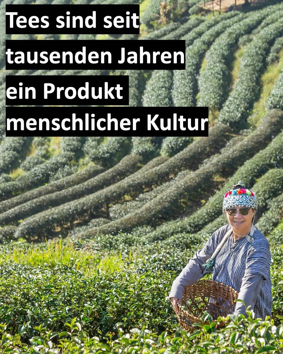 Gourmet kalendarz adwentowy z herbatą z Francji 24+1 herbaty