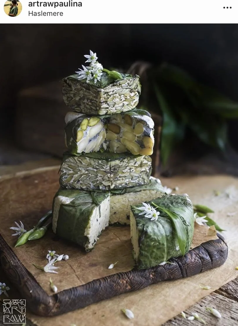 Tempeh Starter 40 Grams