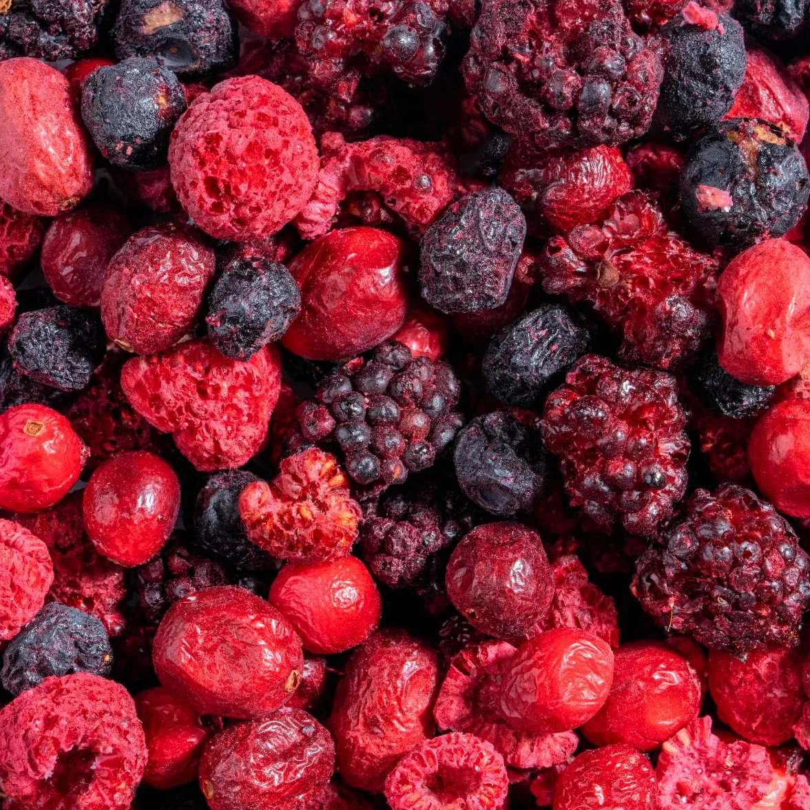 Owoce leśne, suszone w zamrażarce: 100 g jeżyny, borówki, żurawiny, maliny, mrożone i niecukru – suszone owoce, owoce mrożone, suszone w zamrażarce, jagody NutriPur