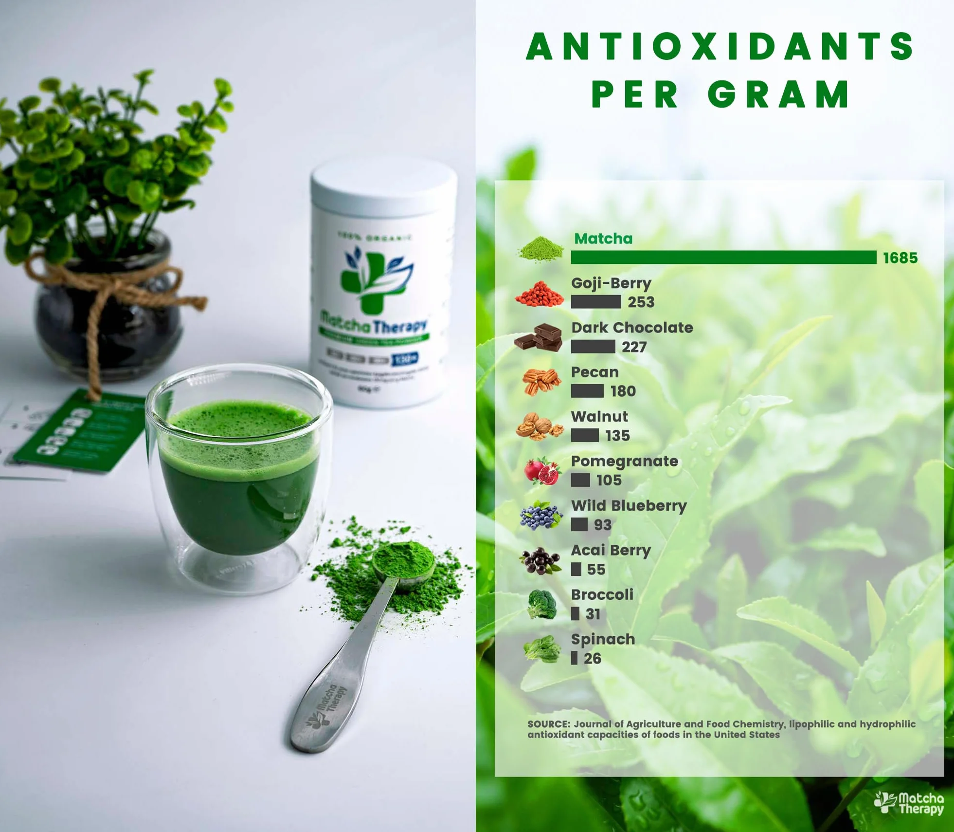 MatchaTherapy 100% Ekologiczna herbata Matcha 60g 130 mg/g EGCG Klasa Premium Japońska zielona
